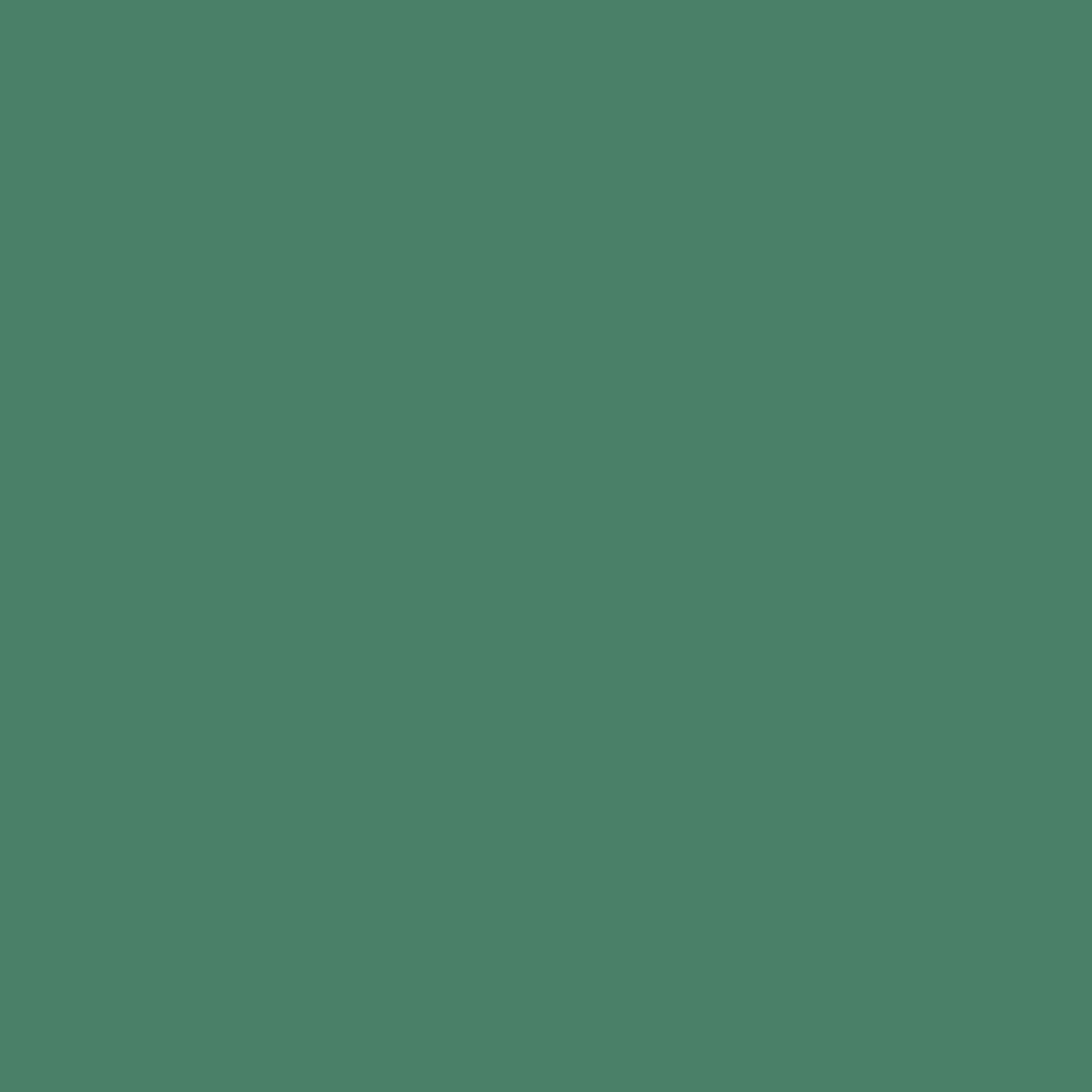498067.png